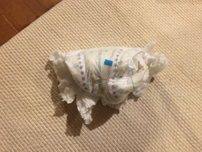 例に漏れず、使用済みおむつですみません