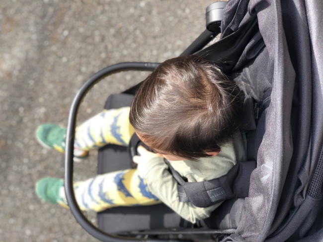 上から見ると、この広さ。窮屈でないので、楽しく乗り続けてくれます