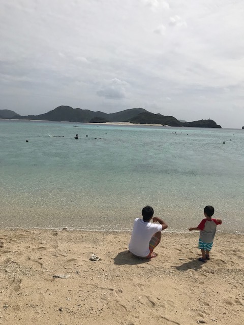 運が良ければウミガメにも遭遇できるんだとか！