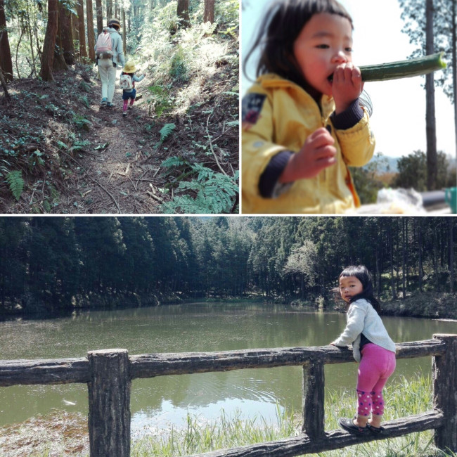 山、自然好きな我が家。新緑のこの季節は毎週のようにおでかけです