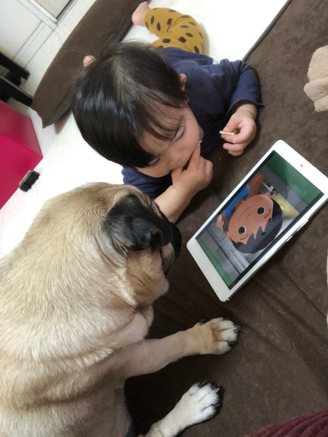 とっても仲良しで、遊びも一緒。カルビは4人目の子どものようです