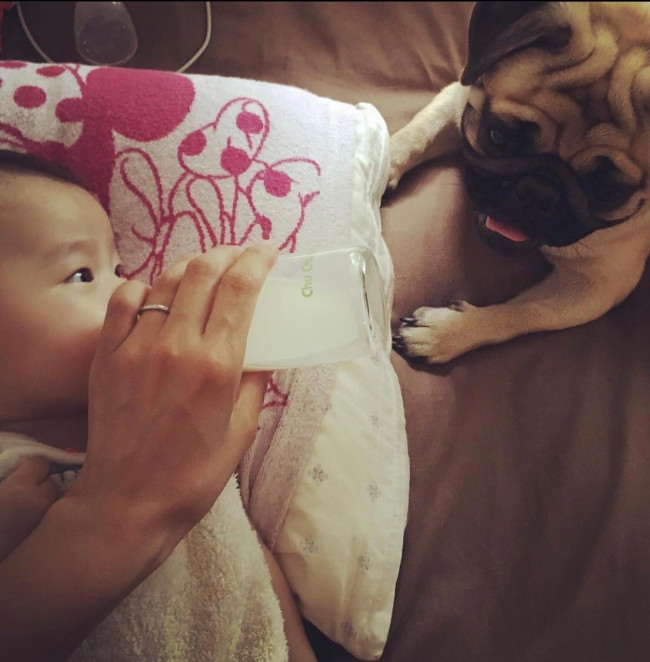 少しずつ、お互いを認識してくる我が子と我が犬。距離が縮まる過程も微笑ましいものです