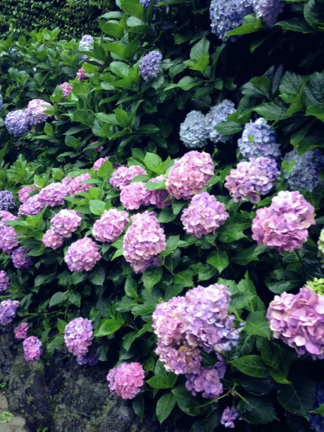 高温多湿の日本の梅雨。健康に過ごすために、食中毒や熱中症に注意しましょう