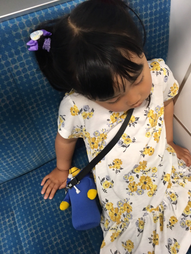 走り回ったり、長距離歩いたりしても嫌がることなく最後まで持ってくれました