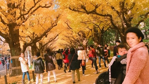 《今年の秋のおでかけに♡》ママ友と行く、大人も子どもも絶対楽しい秋のおすすめスポット3選！