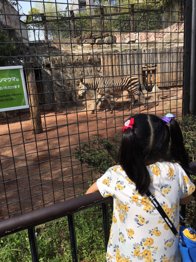 5歳のお姉ちゃんに、お出かけ時持ち歩いてもらうことに…