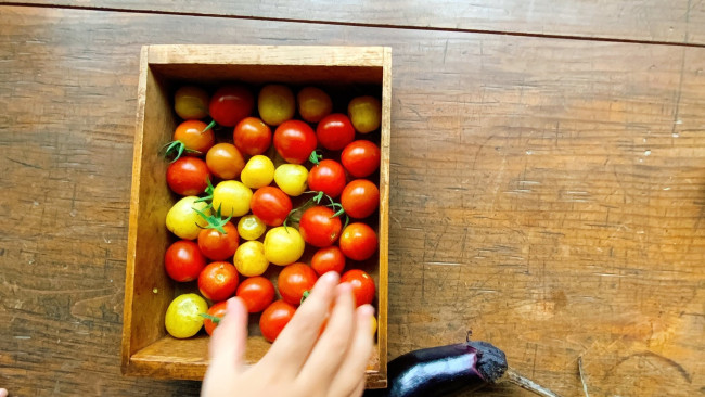 《野菜が好きな子に！》親子で楽しく&おいしく食べよう、我が家の畑事情♪