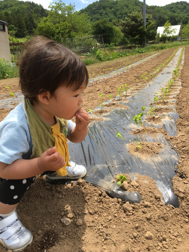 土を触ってみる。からの、食してみる！（やめて！）