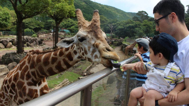 《ママたちの子連れ旅レポート》話題の観光スポット「伊豆アニマルキングダム」って、どんなところ？
