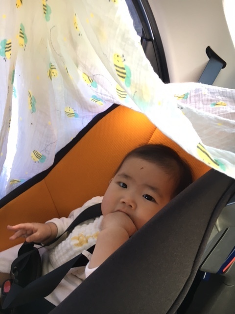 日よけに最適な大きさ&薄さ。かわいいハチさん柄で、子どももうれしそう！