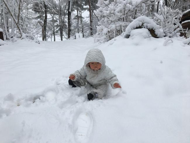 今年の3月、引っ越してきてすぐのころ。静岡育ちの私、寒さというより雪の量に震える。娘は初めの雪におびえる。温暖育ちの軟弱親子はたして今年の冬をのりこえられるのか！　次回に続く！