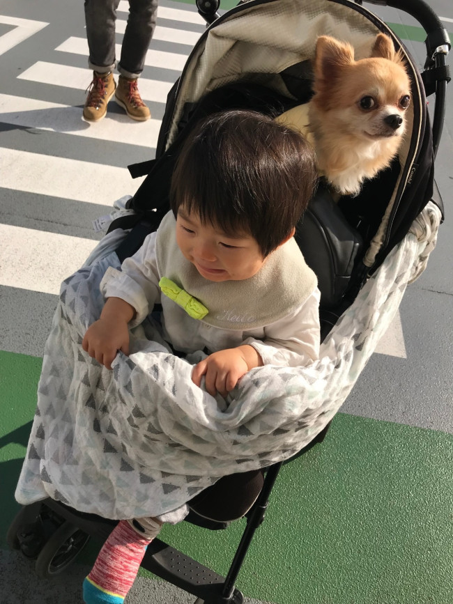 暑いときは日除けになるし、風やホコリ避けにもなるので毎日付け替えているおくるみ