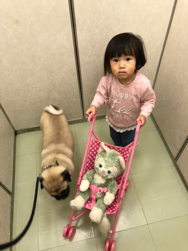 お散歩は毎日の日課。次女担当のお世話も増えてきました