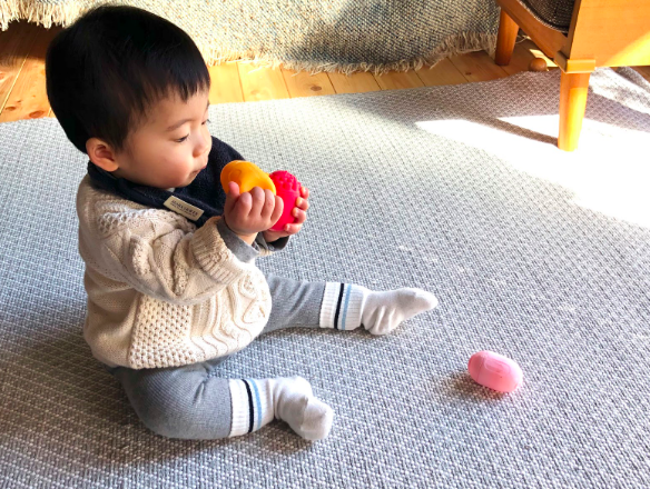 新しい仲間たちに興味津々。まずは触ったりなめたりして遊んでいましたが、口にいれても安心
