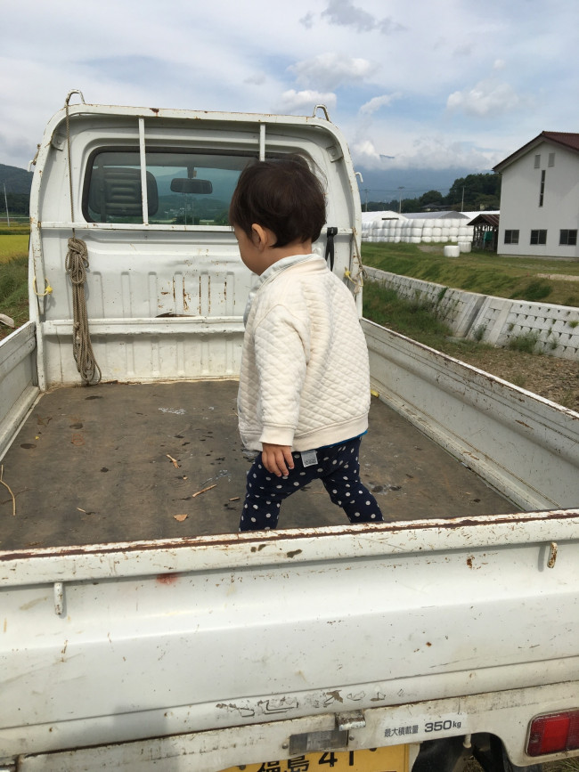 稲刈りせずに軽トラの荷台で遊んでいる娘