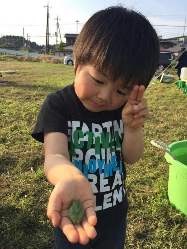 畑には、都会でなかなか見かけない虫も！　こどもたちはカエルに夢中でした