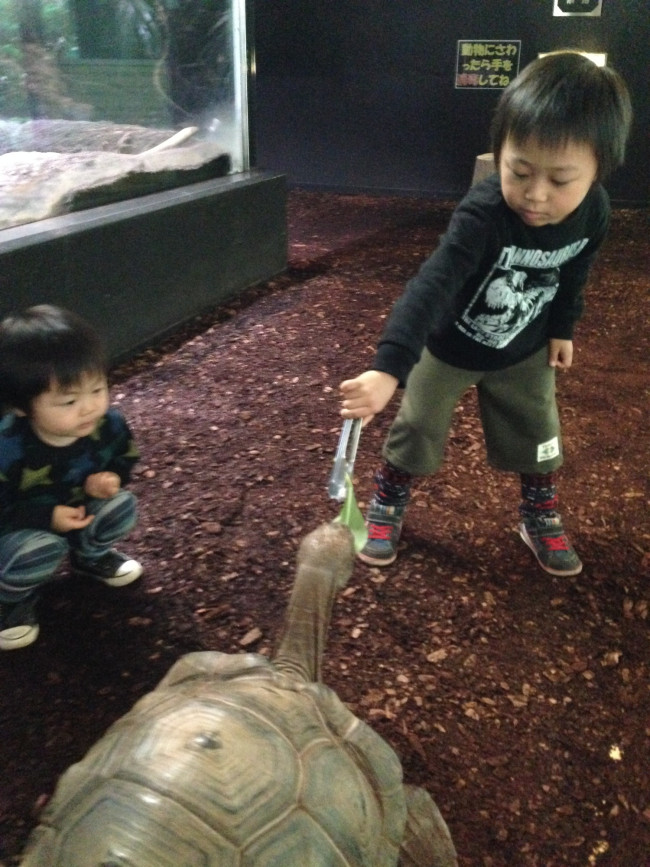 フツーの動物園とは一味違った体験ができるので、子どもたちも大喜びです！