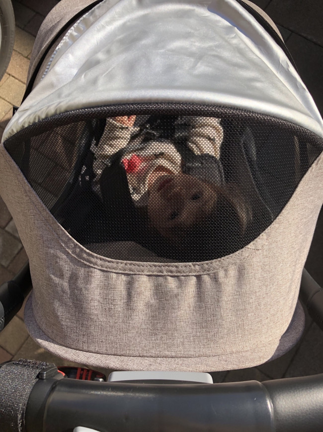 子どもが覗けるメッシュ窓付き。通気性も◎