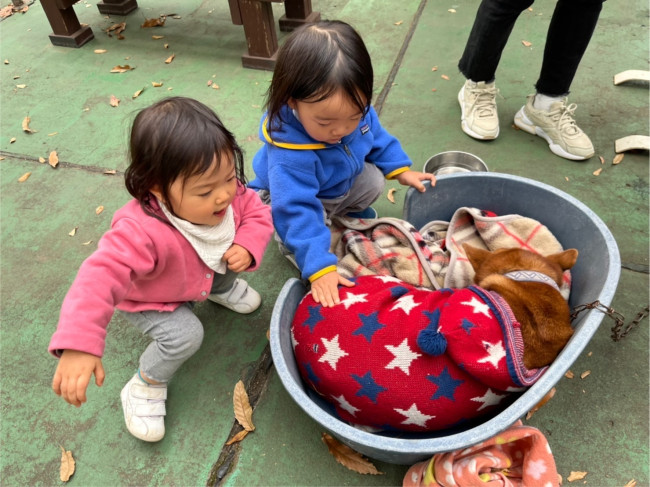 ふれあいひろばには、ワンちゃんも！