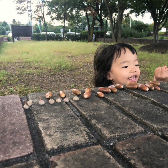 公園には、小さい秋の発見がいっぱい！