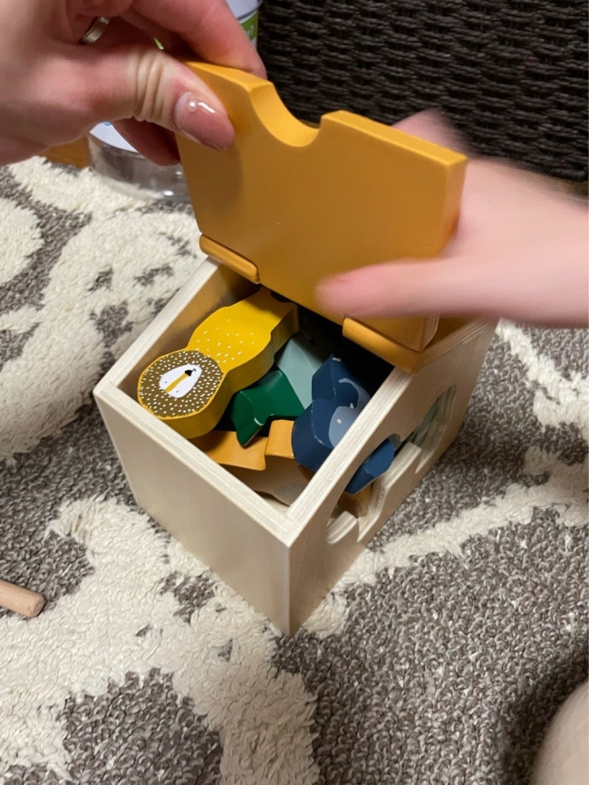 同じシリーズの木製玩具との組み合わせも楽しい。こちらはウッデンハウスの中に動物たちを詰め込んで遊んでいます