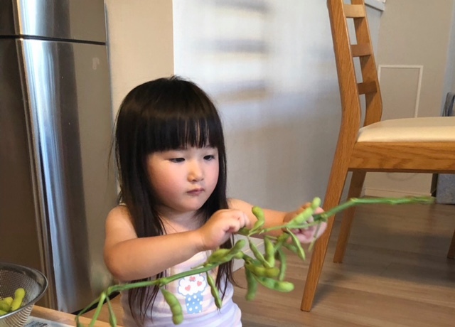 食卓に並んでいる食べものがどういう野菜なのか、というのも知ってもらえたらと思います